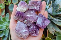 Raw purple amethyst crystal chunks displayed in palm of hand against green succulent background, showing natural mineral formation and translucent properties.