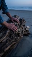 Hands touching weathered driftwood on sandy beach at twilight with ocean waves in background creating peaceful coastal atmosphere.