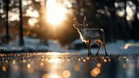 Miniature reindeer figurine silhouetted against golden sunset with bokeh lights on snowy winter landscape, creating magical holiday atmosphere and festive mood.