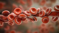 Red blood cells flowing in stream against blurred background, microscopic view of erythrocytes in plasma, medical science visualization for healthcare and biology education.