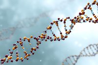 Detailed molecular structure of DNA double helix strand showing nucleotide base pairs and phosphate backbone against soft blue background for scientific visualization.