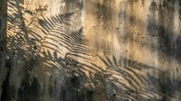 Tropical palm leaf shadows cast on textured concrete wall creating natural light patterns and organic geometric shapes for modern interior design.