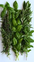 Fresh aromatic herbs including basil, rosemary and sage arranged on white background, top view composition for cooking and culinary design.