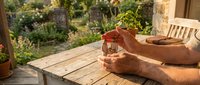 Young plant seedling being held in cupped hands over wooden table in sunny garden setting, representing growth, nurturing, and environmental care for gardening and sustainability projects.