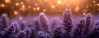 Purple lavender flowers in soft focus with warm golden bokeh lights creating dreamy romantic atmosphere for spa wellness aromatherapy relaxation concepts.