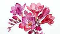 Vibrant magenta and pink orchid blossoms with delicate petals and golden stamens clustered together on white background for floral designs and botanical artwork.