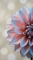 Soft pastel dahlia flower with delicate pink and blue petals against dreamy bokeh background for romantic floral designs and spring decorations.