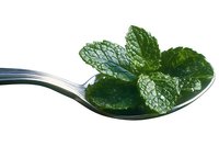Fresh mint leaves on silver spoon isolated on white background, aromatic herb for cocktails, tea, and culinary garnish.