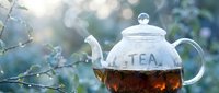 Glass teapot with hot steaming tea outdoors among dewy branches in soft morning light, with TEA inscription on the pot.