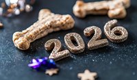 Festive dog treats and glittery numbers 2026 on dark background with decorative stars, celebrating New Year with pets concept. Holiday pet care theme.