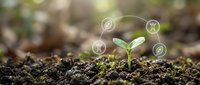 Young seedling sprouting from rich soil with floating sustainability icons representing growth, agriculture, and environmental conservation for eco-friendly business concepts.