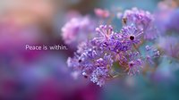 Delicate purple wildflowers in soft focus with inspirational text overlay against dreamy bokeh background, creating serene and peaceful nature macro photography.