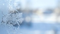 Delicate frost crystals form intricate ice patterns on winter window glass with soft blurred background creating seasonal cold weather atmosphere.