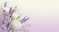 Elegant white roses and purple lavender flowers arranged in soft romantic bouquet on gentle gradient background for wedding invitations and greeting cards.