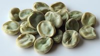 Fresh green fava beans scattered on white surface, macro view of broad beans showing natural texture and organic shape of legumes for food concept.