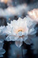 Ethereal white lotus flower in full bloom against moody blue background with soft bokeh lights, creating dreamy and peaceful atmosphere for wellness and spa designs.