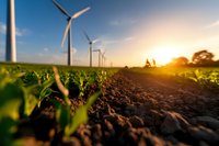 Wind turbines on agricultural field at sunset, ground level view of fertile soil and young crop plants, renewable energy and sustainable farming concept.