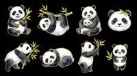 Cute panda characters in various playful poses with bamboo leaves, isolated on transparent background. Ready for t-shirt designs, stickers, clipart, sublimation, and print-on-demand products.