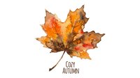 Watercolor autumn maple leaf with cozy autumn text isolated on white background for seasonal design projects and fall decorations.