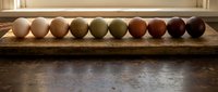 Row of colorful eggs arranged on wooden surface showing natural color variation from light beige to dark brown in rustic kitchen setting.