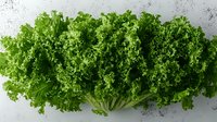 Fresh green curly kale leaves arranged in row on light textured background, top view. Raw organic vegetable for healthy eating and cooking.