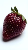 Deep burgundy strawberry with fresh green leaves isolated on white background, ready for food packaging, recipe blogs, and culinary design projects.