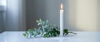 Minimalist white candle burning beside fresh eucalyptus branch on clean surface creating peaceful spa-like atmosphere for meditation and relaxation.