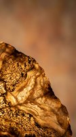 Golden brown agate stone with intricate natural patterns and crystalline formations against warm blurred background for luxury design projects.