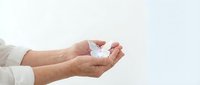 Hands gently holding small white paper origami crane against soft light background symbolizing hope, peace, and delicate care in minimalist composition.
