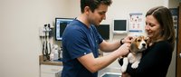 Male veterinarian examining beagle puppy held by female pet owner during routine checkup in modern veterinary clinic examination room.