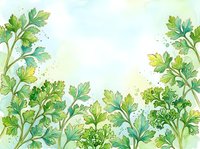 Watercolor illustration of fresh green leafy vegetables and herbs arranged as a decorative border frame with splashes, ideal for organic food packaging, recipe cards, and culinary design projects.