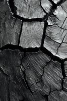 Cracked weathered wood surface showing natural aging patterns and deep fissures in monochrome detail for rustic design projects.