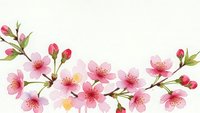 Pink cherry blossom branch with delicate flowers and buds on transparent background, spring floral element for greeting cards and decorations.