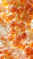 Fresh orange grapes with water drops and bubbles on blurred background with bokeh lights, macro photography for fresh fruit and wine concepts.