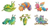 Colorful caterpillar and butterfly isolated characters in various stages of metamorphosis, perfect for children's books, educational materials, and design projects.