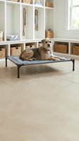 Adorable mixed breed dog resting on elevated pet bed in organized mudroom with built-in storage cubbies and wicker baskets for home organization.