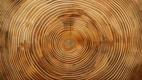 Detailed macro view of tree rings showing annual growth circles in natural brown wood texture. Cross section reveals concentric pattern and grain structure.