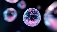 Microscopic view of cell or virus structure with purple particles inside transparent spherical membrane against dark background.