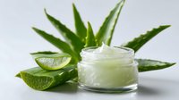 Fresh aloe vera leaves with cut pieces and organic moisturizing cream in glass jar on white background, natural skincare and beauty concept.