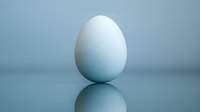 Single white egg on reflective surface against soft blue background, minimalist composition with natural shadow and reflection creates clean professional look.