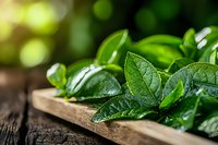 Fresh green mint leaves with water drops on wooden cutting board against dark rustic background, selective focus with natural bokeh lighting effects.