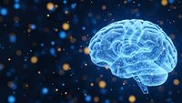 Glowing blue brain with neural networks on dark space background with bokeh lights for medical technology and artificial intelligence concepts.