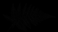 Black fern leaf silhouette isolated on transparent background, ready for t-shirt design, clipart, stickers, sublimation and print-on-demand products.