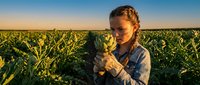 Young female agronomist examining corn plant in agricultural field during golden hour sunset for crop quality assessment and farming research.