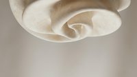 Elegant cream rose petals in soft focus creating romantic floral background for wedding invitations and luxury beauty products.