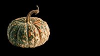 Isolated green and tan speckled pumpkin with curved stem on transparent background, ready for t-shirt designs, clipart, stickers, print-on-demand products, and sublimation projects.