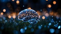 Glowing crystal brain on grass with bokeh lights in background creates magical atmosphere for concepts of mind, intelligence and consciousness.
