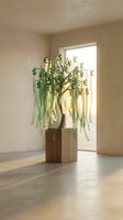 Money tree with currency symbols growing from wooden planter in modern minimalist interior room with natural sunlight streaming through window.