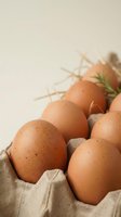 Fresh brown eggs in cardboard carton with rosemary herbs on neutral background for cooking and baking recipes.