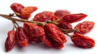 Dried red goji berries on branch isolated on white background, superfood rich in antioxidants used in traditional medicine and healthy cooking.